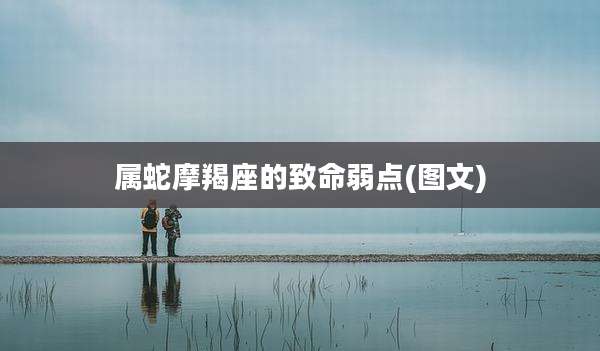 属蛇摩羯座的致命弱点(图文)