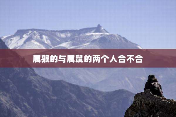 属猴的与属鼠的两个人合不合