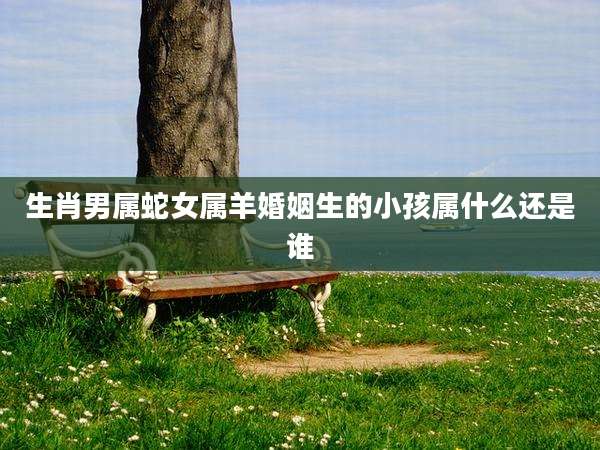 生肖男属蛇女属羊婚姻生的小孩属什么还是谁