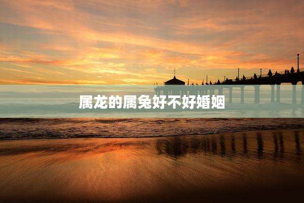 属龙的属兔好不好婚姻