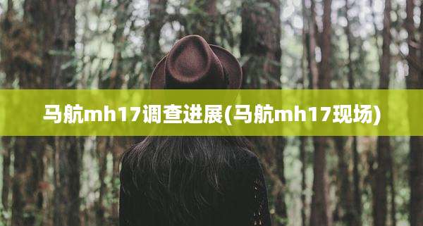 马航mh17调查进展(马航mh17现场)