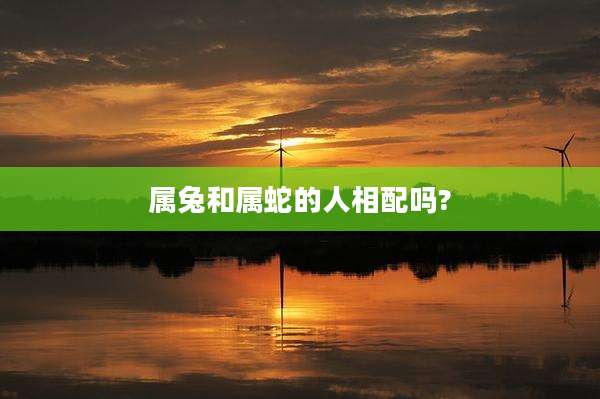 属兔和属蛇的人相配吗?