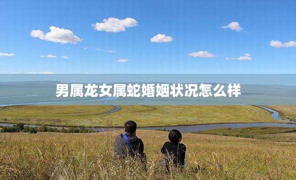 男属龙女属蛇婚姻状况怎么样