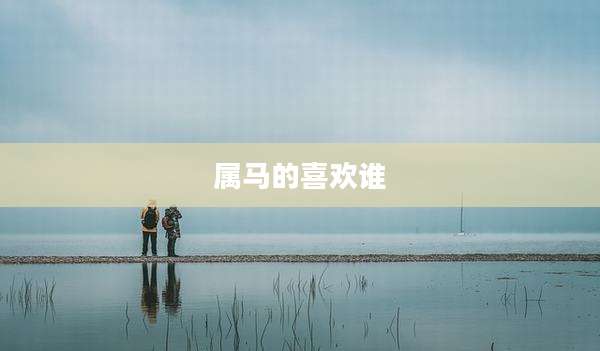 属马的喜欢谁