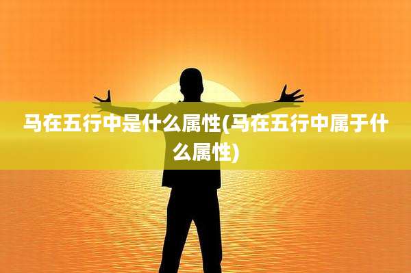 马在五行中是什么属性(马在五行中属于什么属性)