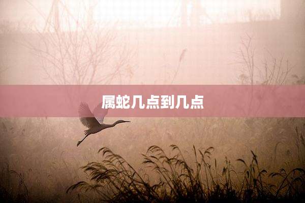 属蛇几点到几点