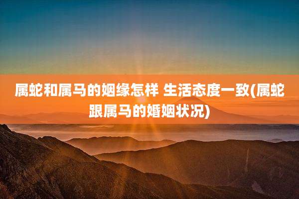 属蛇和属马的姻缘怎样 生活态度一致(属蛇跟属马的婚姻状况)