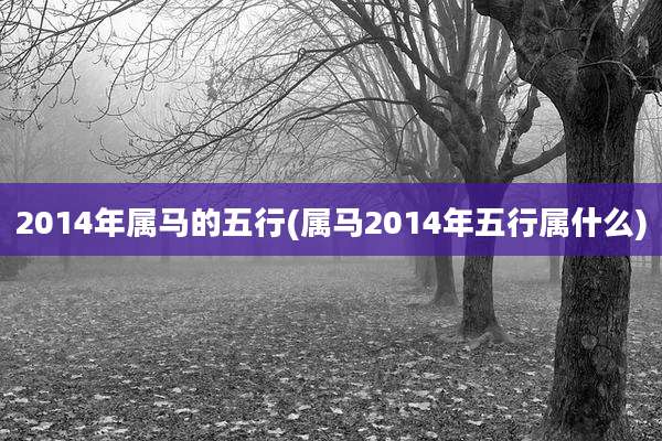 2014年属马的五行(属马2014年五行属什么)
