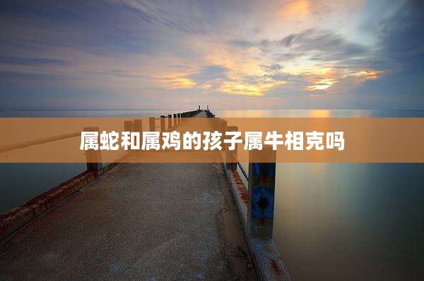 属蛇和属鸡的孩子属牛相克吗