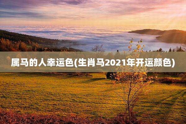 属马的人幸运色(生肖马2021年开运颜色)