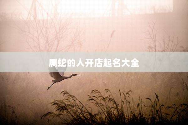 属蛇的人开店起名大全