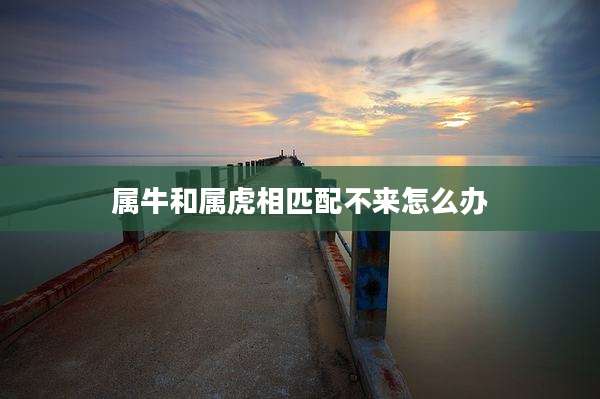 属牛和属虎相匹配不来怎么办