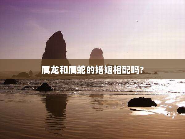 属龙和属蛇的婚姻相配吗?