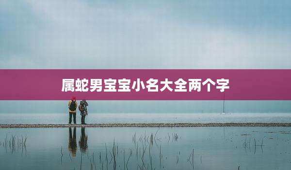 属蛇男宝宝小名大全两个字