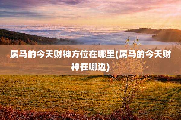 属马的今天财神方位在哪里(属马的今天财神在哪边)