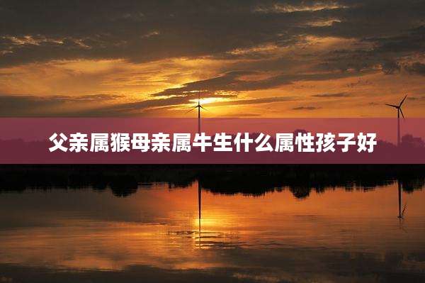 父亲属猴母亲属牛生什么属性孩子好