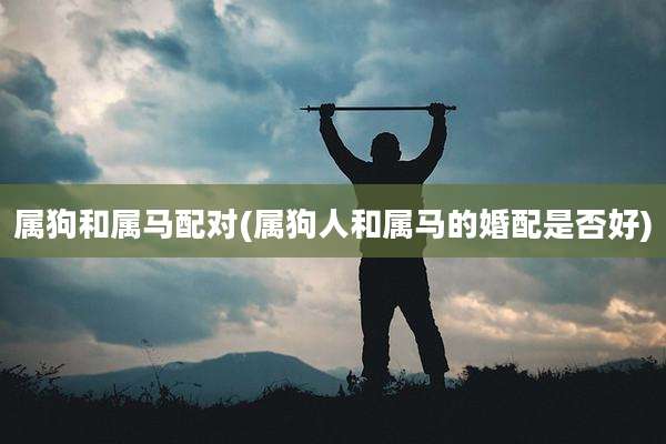 属狗和属马配对(属狗人和属马的婚配是否好)