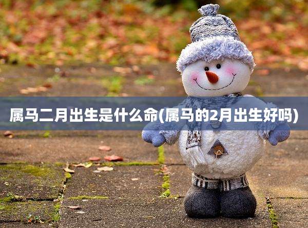 属马二月出生是什么命(属马的2月出生好吗)