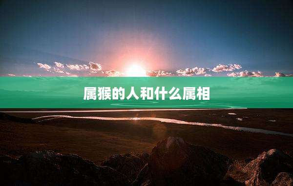 属猴的人和什么属相