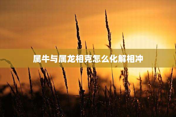 属牛与属龙相克怎么化解相冲