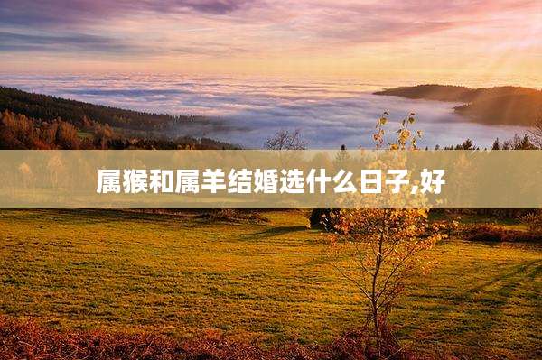 属猴和属羊结婚选什么日子,好