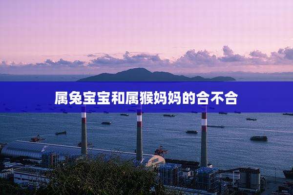 属兔宝宝和属猴妈妈的合不合