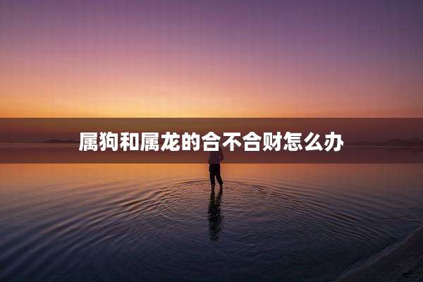 属狗和属龙的合不合财怎么办
