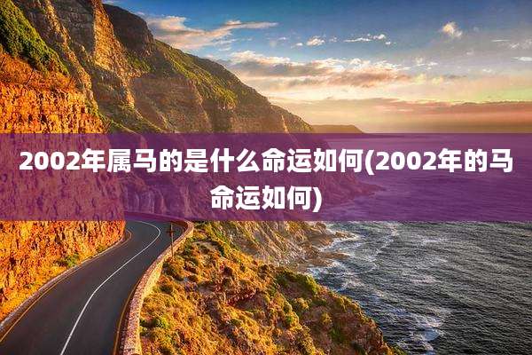 2002年属马的是什么命运如何(2002年的马命运如何)