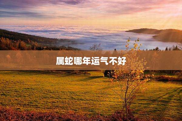 属蛇哪年运气不好