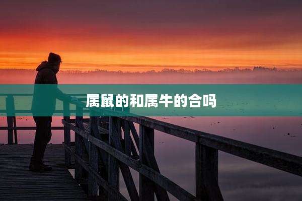 属鼠的和属牛的合吗