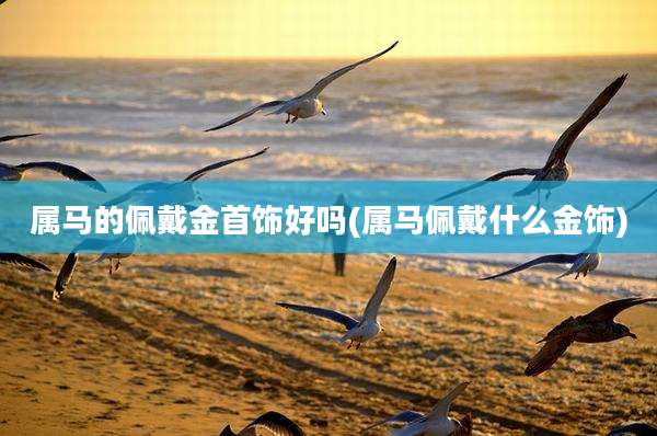 属马的佩戴金首饰好吗(属马佩戴什么金饰)