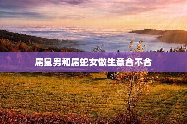 属鼠男和属蛇女做生意合不合