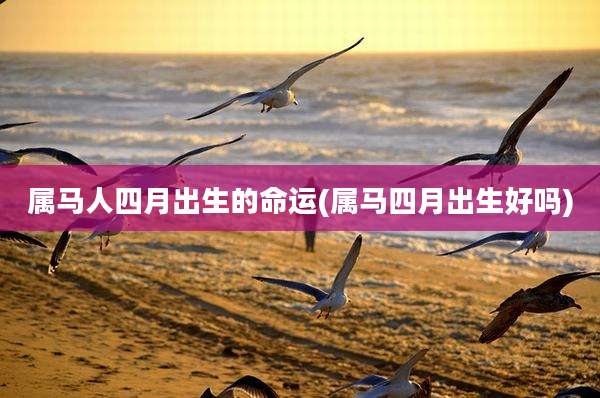 属马人四月出生的命运(属马四月出生好吗)