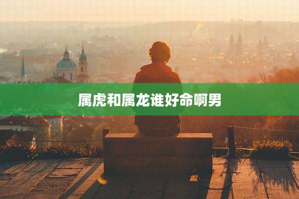 属虎和属龙谁好命啊男
