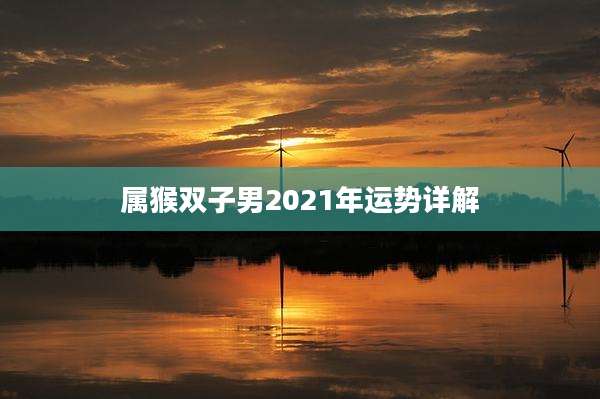 属猴双子男2021年运势详解