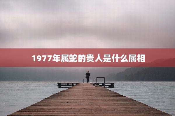 1977年属蛇的贵人是什么属相