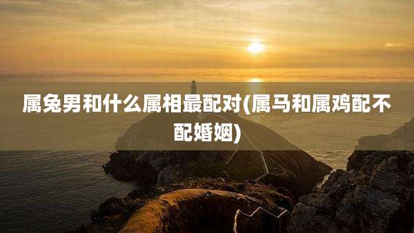 属兔男和什么属相最配对(属马和属鸡配不配婚姻)
