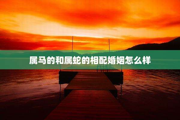 属马的和属蛇的相配婚姻怎么样