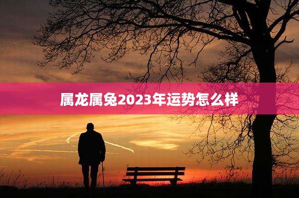 属龙属兔2023年运势怎么样