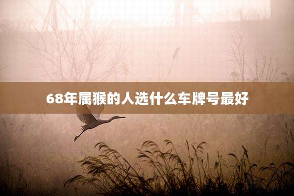 68年属猴的人选什么车牌号最好