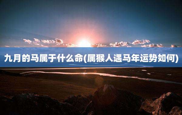 九月的马属于什么命(属猴人遇马年运势如何)