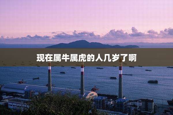 现在属牛属虎的人几岁了啊