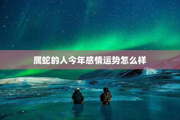 属蛇的人今年感情运势怎么样