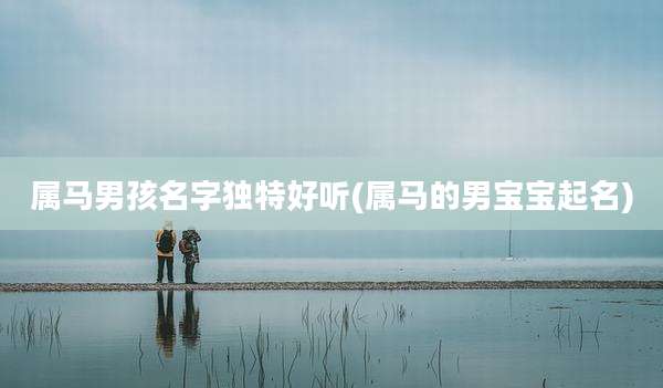 属马男孩名字独特好听(属马的男宝宝起名)