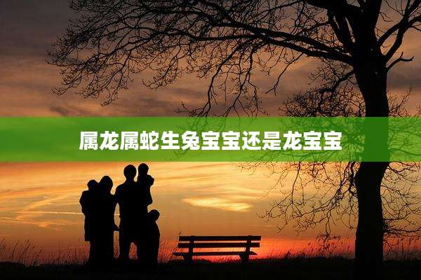 属龙属蛇生兔宝宝还是龙宝宝