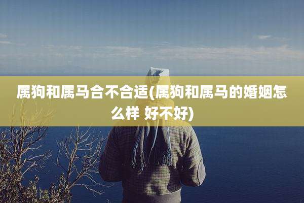 属狗和属马合不合适(属狗和属马的婚姻怎么样 好不好)