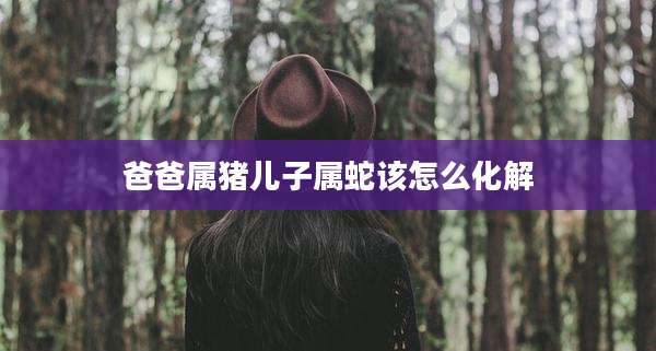 爸爸属猪儿子属蛇该怎么化解