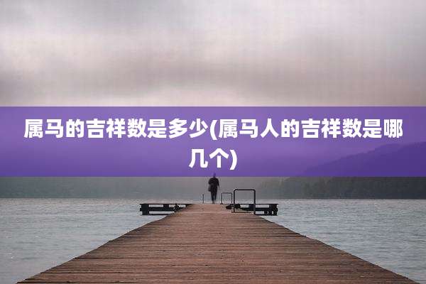 属马的吉祥数是多少(属马人的吉祥数是哪几个)