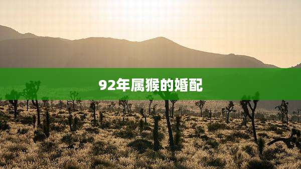 92年属猴的婚配