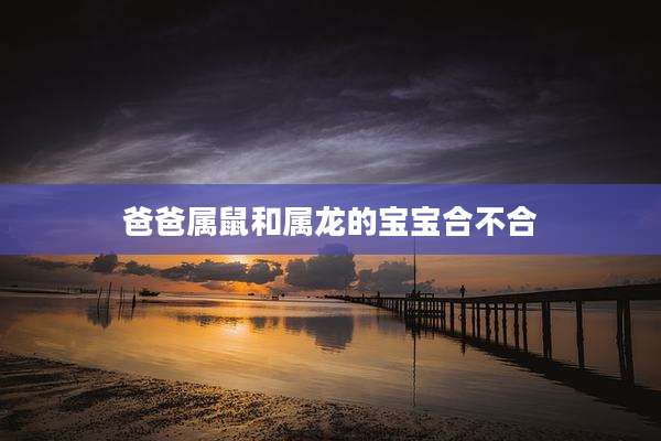 爸爸属鼠和属龙的宝宝合不合